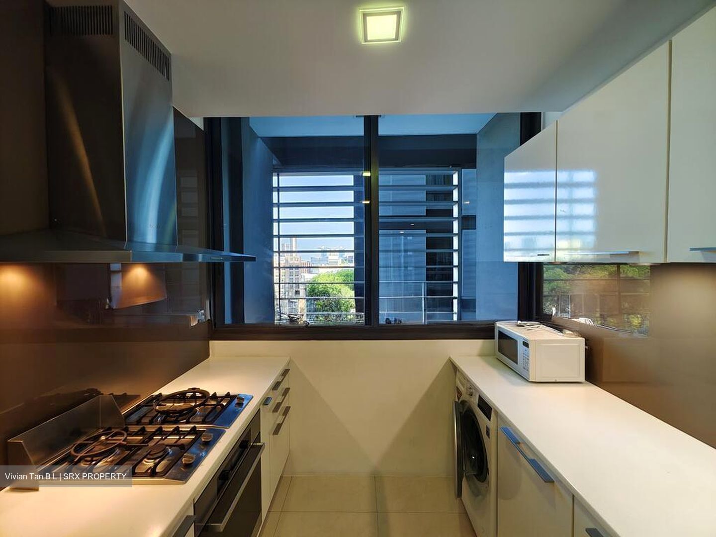 Urban Suites (D9), Condominium #515971521